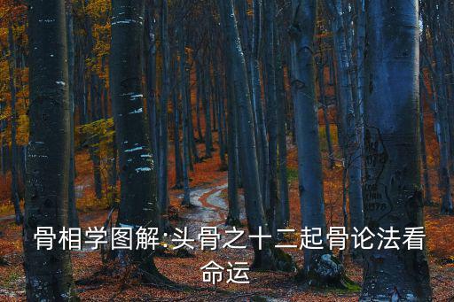 骨相學(xué),人骨之升，眉毛隨骨上揚(yáng)易顯得有大志