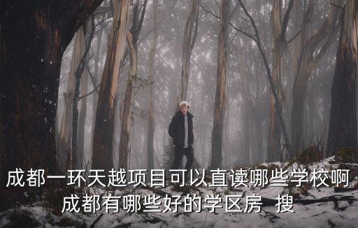 成都一環天越項目可以直讀哪些學校啊成都有哪些好的學區房  搜