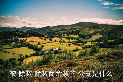 被 除數(shù) 除數(shù)商余數(shù)的 公式是什么
