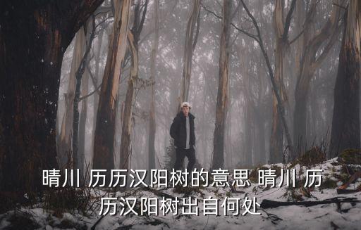  晴川 歷歷漢陽樹的意思 晴川 歷歷漢陽樹出自何處