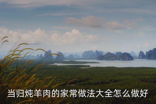 當歸燉羊肉的家常做法大全怎么做好