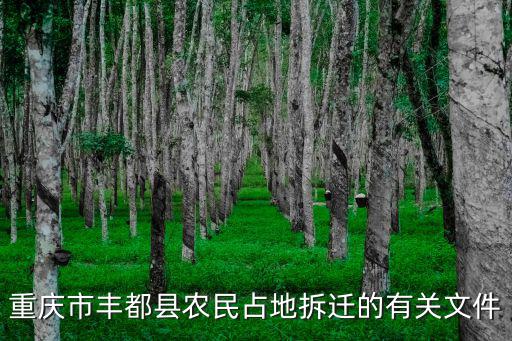重慶市豐都縣農民占地拆遷的有關文件
