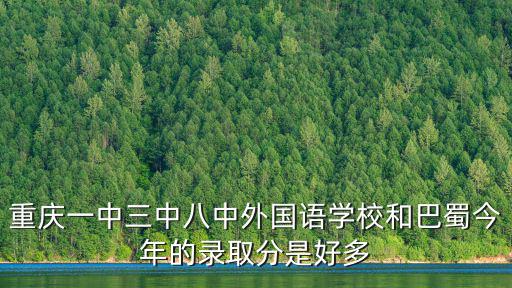 重慶一中三中八中外國語學校和巴蜀今年的錄取分是好多