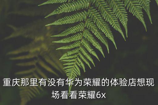 重慶那里有沒有華為榮耀的體驗店想現場看看榮耀6x