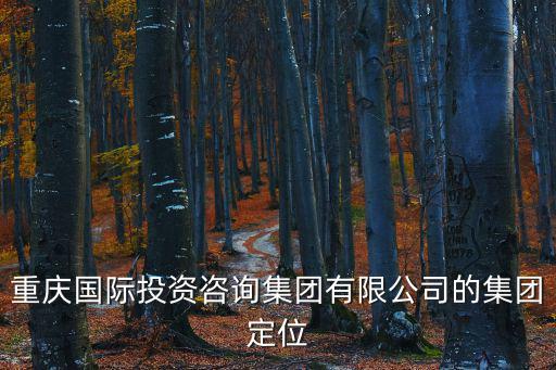 重慶國際投資咨詢集團有限公司的集團定位