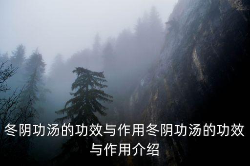 冬陰功湯的功效與作用冬陰功湯的功效與作用介紹