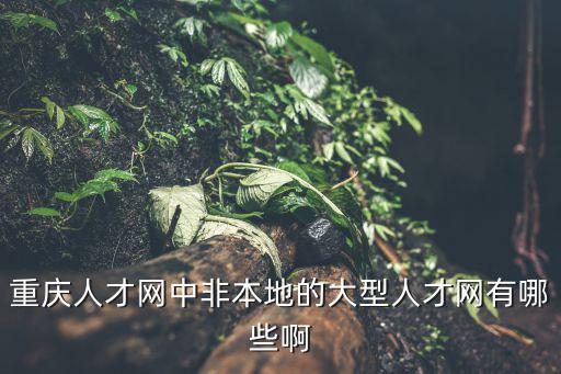 重慶人才網中非本地的大型人才網有哪些啊