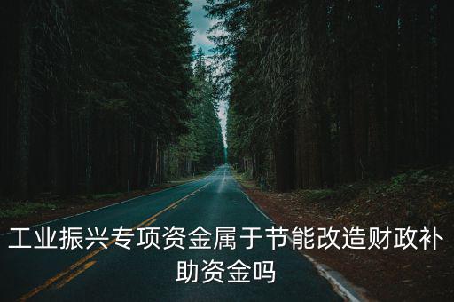 工業(yè)振興專項資金屬于節(jié)能改造財政補助資金嗎