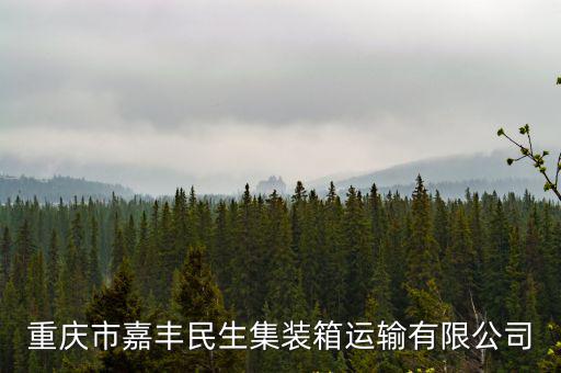 重慶市嘉豐民生集裝箱運輸有限公司