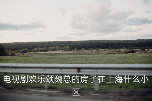 電視劇歡樂頌魏總的房子在上海什么小區(qū)