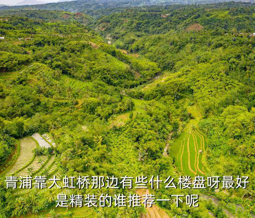 青浦靠大虹橋那邊有些什么樓盤呀最好是精裝的誰推薦一下呢