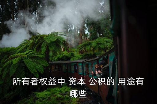 資本公積的用途,資本公積是指投資者投入的資產(chǎn)或享有的資金