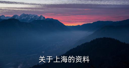 關于上海的資料