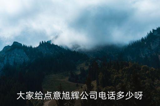 大家給點意旭輝公司電話多少呀
