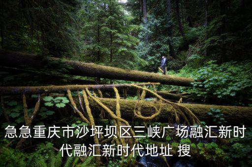 急急重慶市沙坪壩區三峽廣場融匯新時代融匯新時代地址 搜