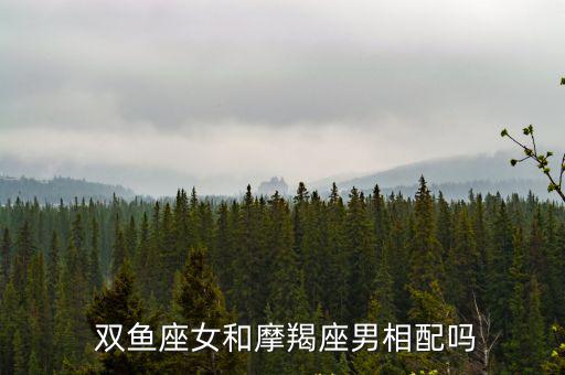 摩羯男和雙魚女,獅城男與摩羯座雙魚會有另一個溝通問題
