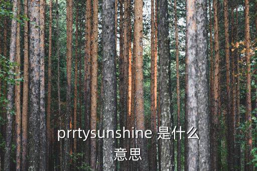 prrtysunshine 是什么意思