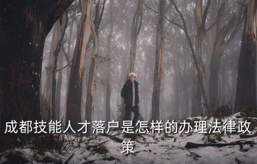 成都技能人才落戶是怎樣的辦理法律政策