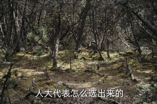 人大代表怎么選出來的