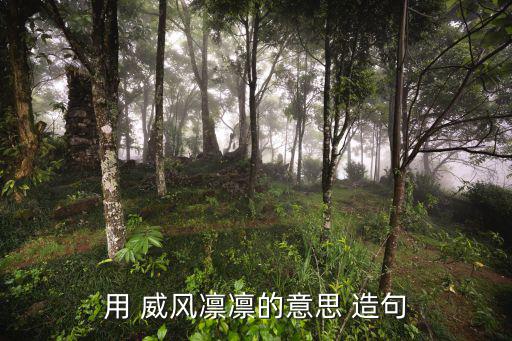 威風(fēng)凜凜造句,第二集:兵馬俑和威風(fēng)凜凜誰能不驚嘆