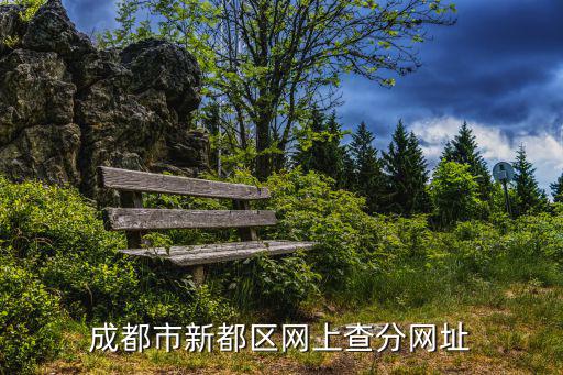 成都市新都區網上查分網址