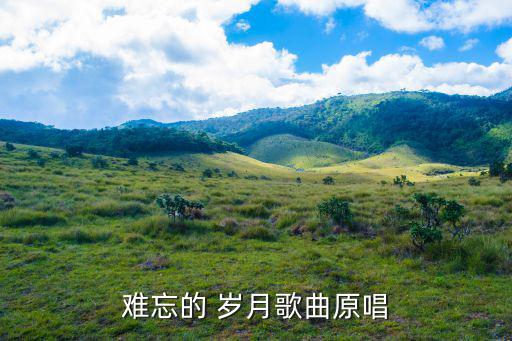 歲月歌,《榮耀歲月》是beyond演唱的歌曲原唱也是尹