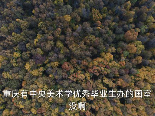 重慶有中央美術(shù)學(xué)優(yōu)秀畢業(yè)生辦的畫室沒啊