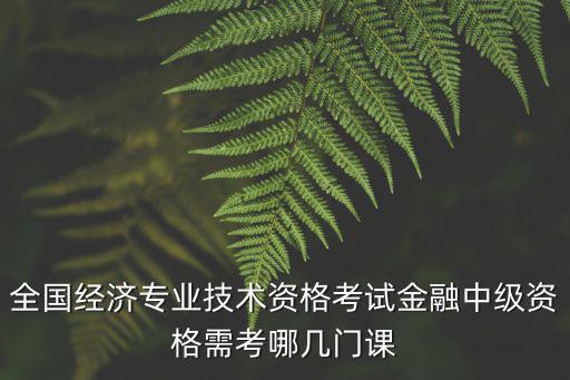 全國經(jīng)濟(jì)專業(yè)技術(shù)資格考試金融中級(jí)資格需考哪幾門課