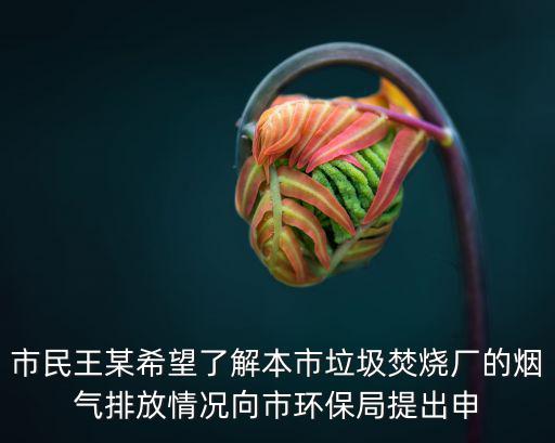 市民王某希望了解本市垃圾焚燒廠的煙氣排放情況向市環(huán)保局提出申