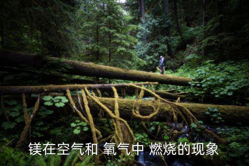 鎂在氧氣中燃燒的現象,鎂在汽油燃點易燃限制了應用