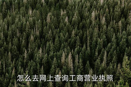 怎么去網上查詢工商營業執照