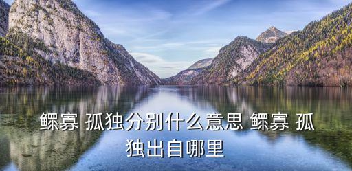  鰥寡 孤獨分別什么意思 鰥寡 孤獨出自哪里
