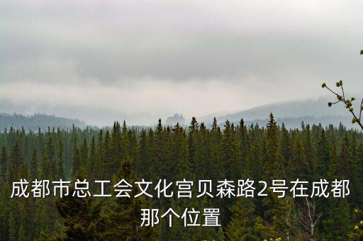 成都市總工會文化宮貝森路2號在成都那個位置