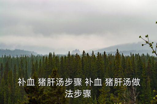  補血 豬肝湯步驟 補血 豬肝湯做法步驟