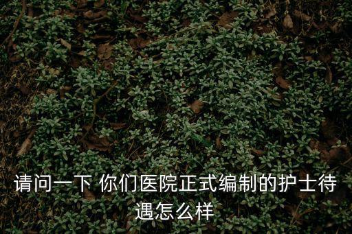 請(qǐng)問(wèn)一下 你們醫(yī)院正式編制的護(hù)士待遇怎么樣