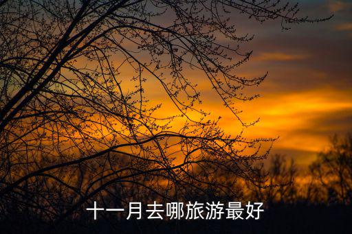十一月去哪旅游最好