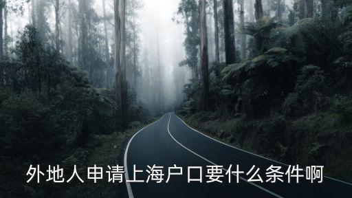 外地人申請上海戶口要什么條件啊