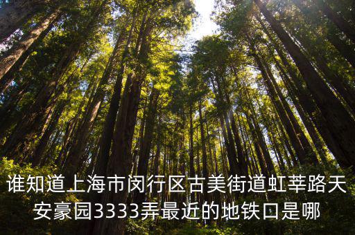 誰知道上海市閔行區(qū)古美街道虹莘路天安豪園3333弄最近的地鐵口是哪