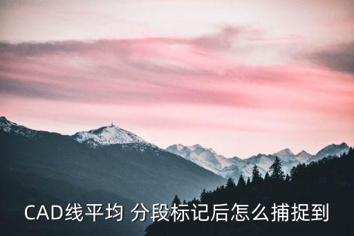 CAD線平均 分段標(biāo)記后怎么捕捉到