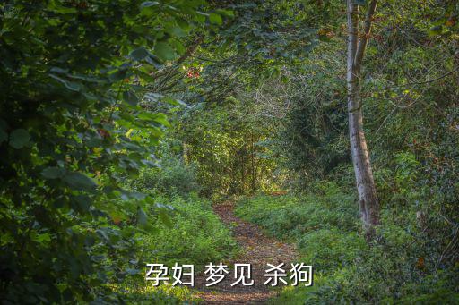 孕婦 夢見 殺狗