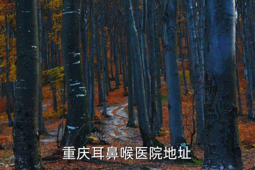重慶耳鼻喉醫院地址