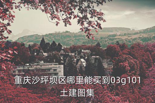 重慶沙坪壩區(qū)哪里能買到03g101土建圖集