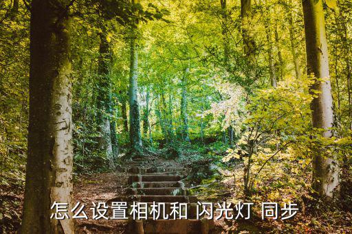 怎么設(shè)置相機(jī)和 閃光燈 同步