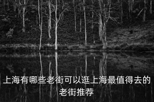 上海有哪些老街可以逛上海最值得去的老街推薦