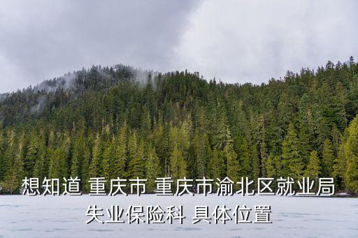 重慶市渝北區就業與人才服務局，渝北區人才市場地址