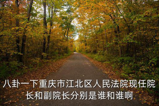 八卦一下重慶市江北區(qū)人民法院現(xiàn)任院長(zhǎng)和副院長(zhǎng)分別是誰(shuí)和誰(shuí)啊