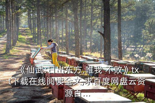 《仙武:日出東方,唯我 不敗》txt下載在線閱讀全文,求百度網盤云資源百...