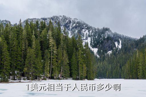 1美元相當于人民幣多少啊