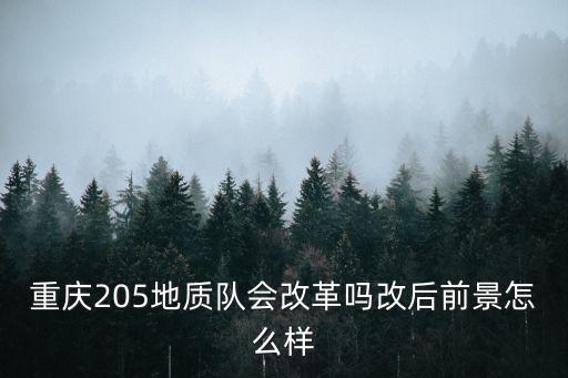 重慶205地質(zhì)隊(duì)會(huì)改革嗎改后前景怎么樣