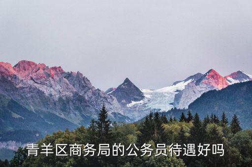 青羊區(qū)商務(wù)局的公務(wù)員待遇好嗎